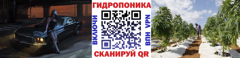 где купить наркоту  Иланский  Шишки марихуана SATIVA & INDICA 